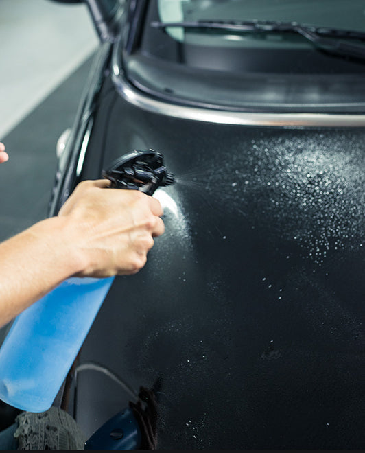 GUMĂ DECONTAMINANTĂ / ProTech® Monte-Carlo
