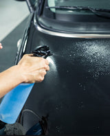 GUMĂ DECONTAMINANTĂ / ProTech® Monte-Carlo