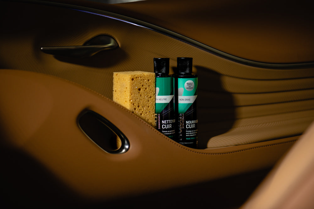 KIT CURĂȚARE PIELE NATURALĂ / ProTech® Monte-Carlo 2 x 250 ML