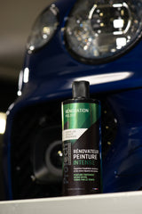 RENOVATOR INTENS VOPSEA / ProTech® Monte-Carlo 500 ML