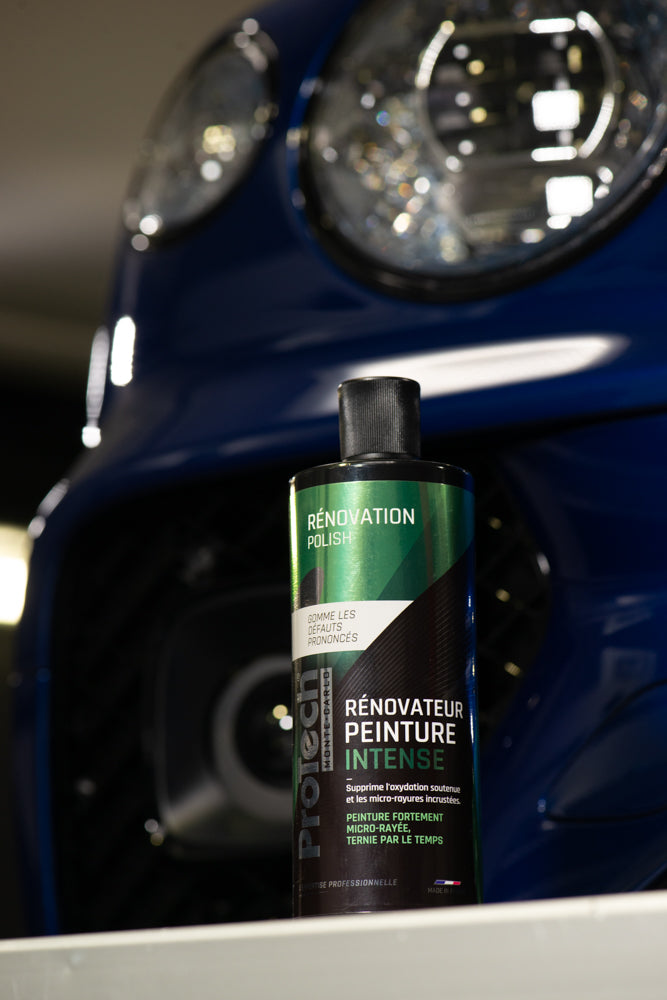 RENOVATOR INTENS VOPSEA / ProTech® Monte-Carlo 500 ML